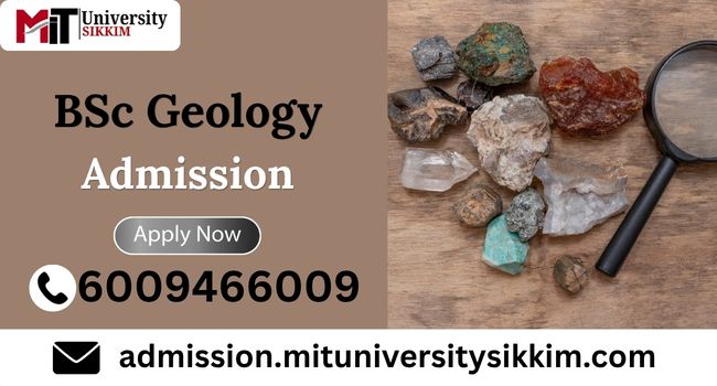 BSc Geology