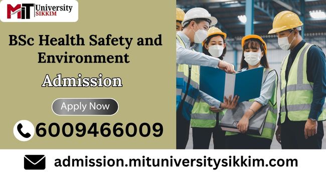BSc Health Safety and Environment