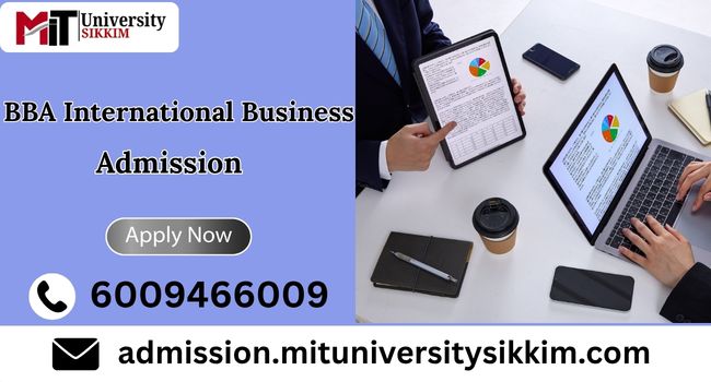 BBA International Business admission