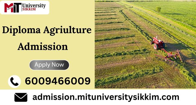diploma agriculture admission